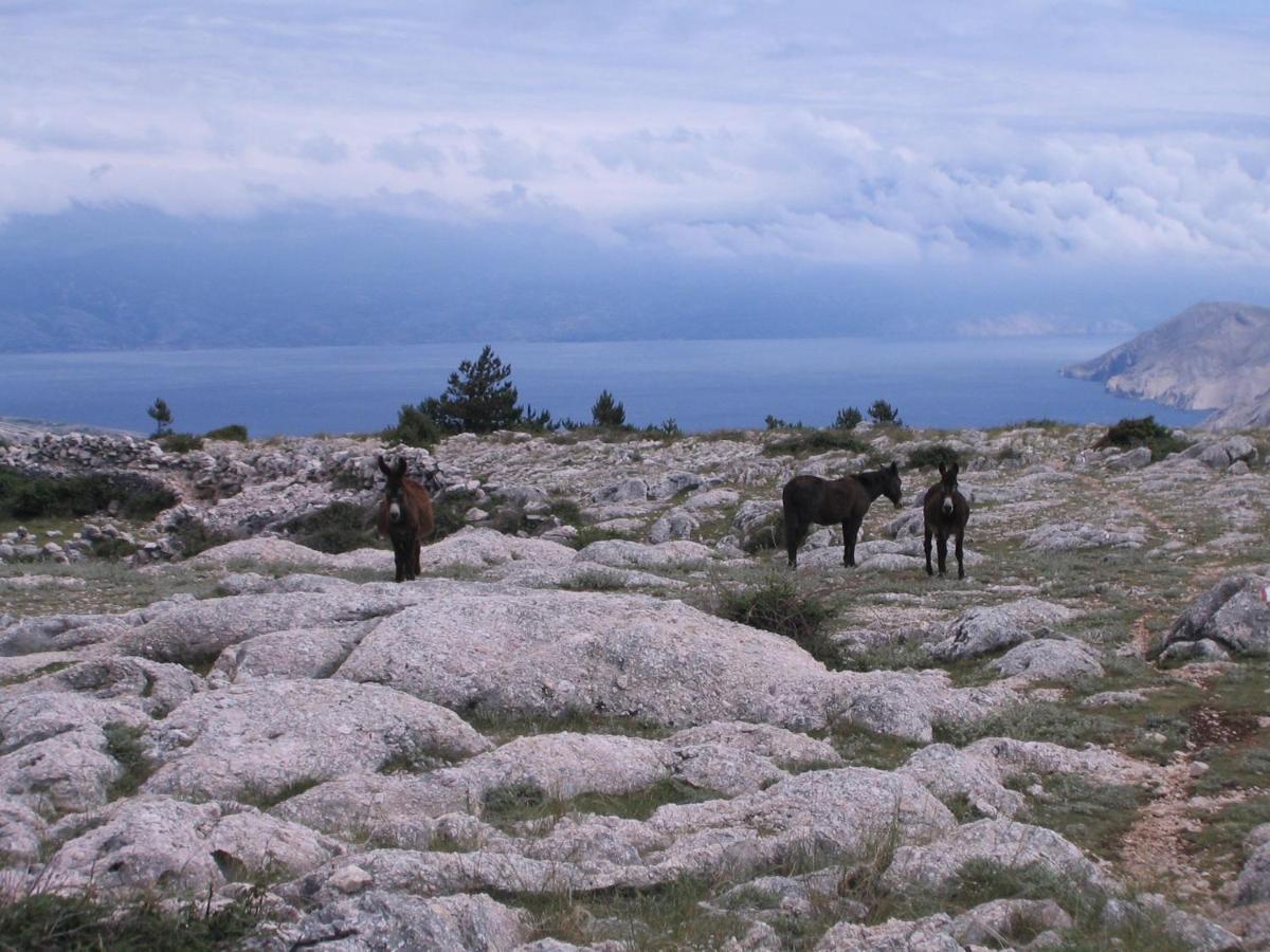 Rooms Nadia Stara Baška Exteriér fotografie